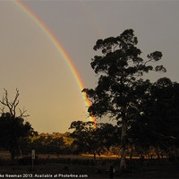 Buy canvas prints of Glorious Farm Rainbow by Luke Newman