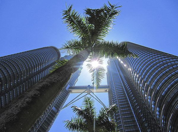 Petronas Towers Sunbeam Picture Board by Luke Newman