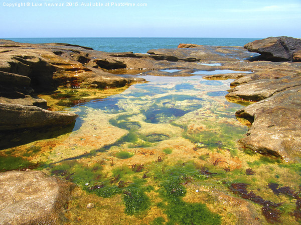  Manly Beach Rockpools Picture Board by Luke Newman