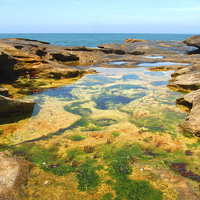 Buy canvas prints of  Manly Beach Rockpools by Luke Newman