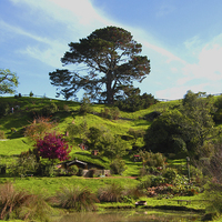 Buy canvas prints of  Hobbiton, The Shire by Luke Newman