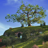 Buy canvas prints of  Bag End, Hobbiton, The Shire by Luke Newman