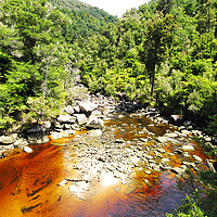 Buy canvas prints of Falls River, Abel Tasman by Luke Newman