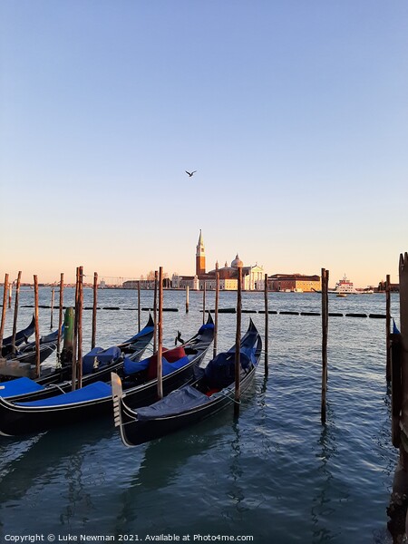 Venice Lagoon Gondolas Picture Board by Luke Newman