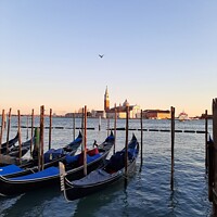 Buy canvas prints of Venice Lagoon Gondolas by Luke Newman