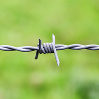 Buy canvas prints of  Sharp Barbed wire node by Ankor Light