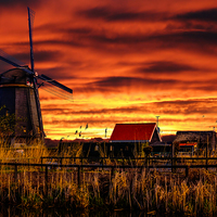 Buy canvas prints of Sunrise beams over the dutch windmills by Ankor Light