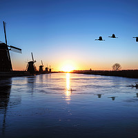Buy canvas prints of Heron flying over the frozen Kinderdijk Sunrise by Ankor Light