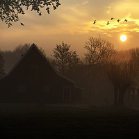 Buy canvas prints of Geese flying at the sunrise in Zaanse Schans, Neth by Ankor Light