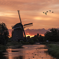 Buy canvas prints of Group of duck flying over a windmill at the warm a by Ankor Light