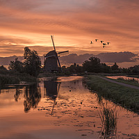 Buy canvas prints of Group of duck flying over a windmill at the warm a by Ankor Light