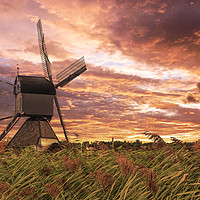 Buy canvas prints of Sunset on the Dutch windmill above the fence of wi by Ankor Light
