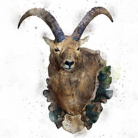 Buy canvas prints of Hunting Trophy hanging on the chalet wall at Galtü by Ankor Light