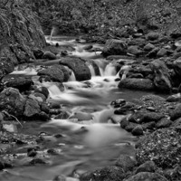 Buy canvas prints of Alva Burn, Clackmannanshire by Buster Brown
