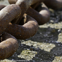 Buy canvas prints of Chain Close Up by Buster Brown