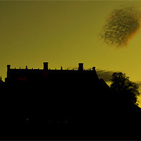 Buy canvas prints of Stirling Castle Silhouette by Buster Brown