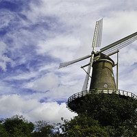 Buy canvas prints of De Valk,  Windmill museum by Buster Brown