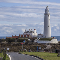 Buy canvas prints of  St Mary's Island, Whitley Bay by Buster Brown