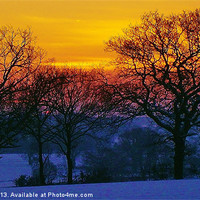 Buy canvas prints of Sunrise Through The Trees by philip milner