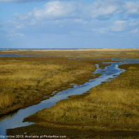 Buy canvas prints of Saltfleet Marshes Humber Estuary by philip milner
