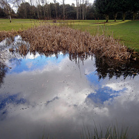 Buy canvas prints of Cloud Reflections by philip milner