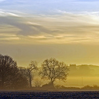 Buy canvas prints of Sunrise In The Mist by philip milner