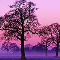 Buy canvas prints of Misty Sunrise In Warwickshire by philip milner