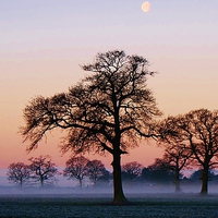 Buy canvas prints of Moon Mist And Sunrise 2 by philip milner