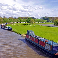 Buy canvas prints of Ashby-de-la-Zouch Canal by philip milner