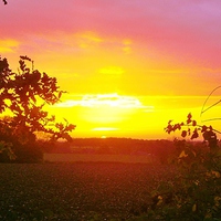 Buy canvas prints of  Warwickshire Autumn Sunrise by philip milner