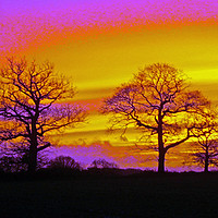 Buy canvas prints of Sunrise In Warwickshire by philip milner