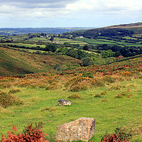Buy canvas prints of Views Across Dartmoor by philip milner