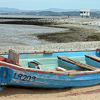 Buy canvas prints of Abandoned But Hopeful by philip milner