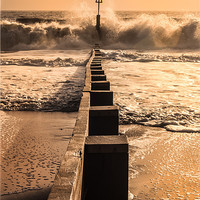 Buy canvas prints of Winter Storm by stuart bennett