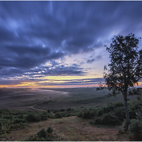 Buy canvas prints of A New Day by stuart bennett