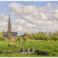 Buy canvas prints of Salisbury Fields by stuart bennett