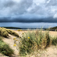 Buy canvas prints of 'Dunes at Crantock' by Rob Booth