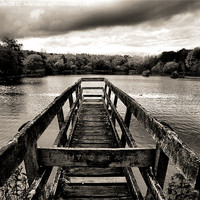 Buy canvas prints of 'On Osbourne's Pond' B & W by Rob Booth