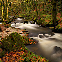 Buy canvas prints of Golitha Falls by Rob Booth