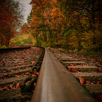 Buy canvas prints of Railway Line, Autumn Trees by Shawn Nicholas