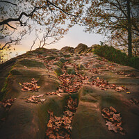 Buy canvas prints of Sandstone Rock Face in Autumn by Shawn Nicholas