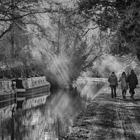 Buy canvas prints of Worcestershire Canal, near Kidderminster by Shawn Nicholas