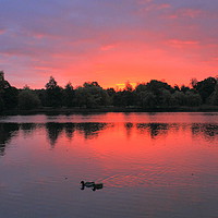 Buy canvas prints of Wollaton sunrise at the Lake by Steve Adams