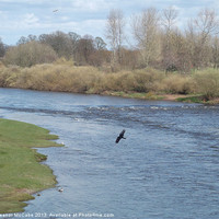 Buy canvas prints of Looking over the River Eden by Eleanor McCabe