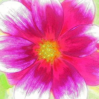 Buy canvas prints of  Sweet Sweet Candy Pink Summer Flower by Eleanor McCabe