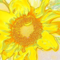 Buy canvas prints of  Summer Sunshine Clock by Eleanor McCabe