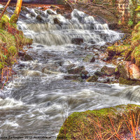 Buy canvas prints of Flowing brook by Joanne Partington