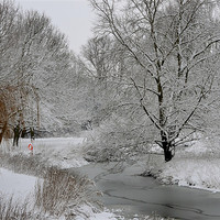 Buy canvas prints of a winters day in essex by linda cook