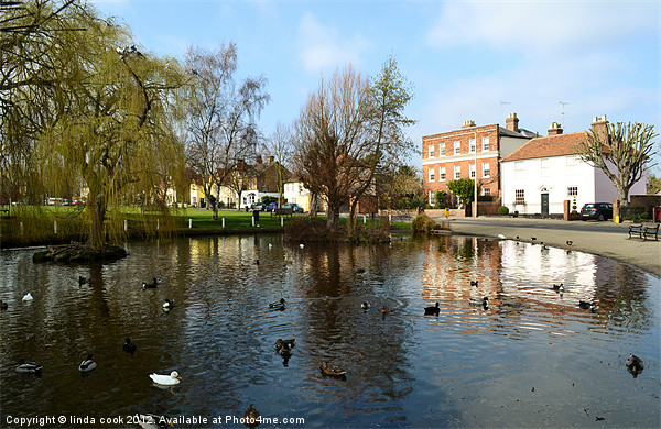 writtle village duckpond Picture Board by linda cook