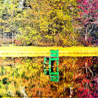 Buy canvas prints of Relections of Fall by Stephanie Clayton